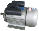 1-phase Asynchronous Motor(YL90S2D, 750W)