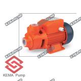 End Suction Peripheral Pumps