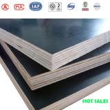High quality phenolic construction plywood for building 6